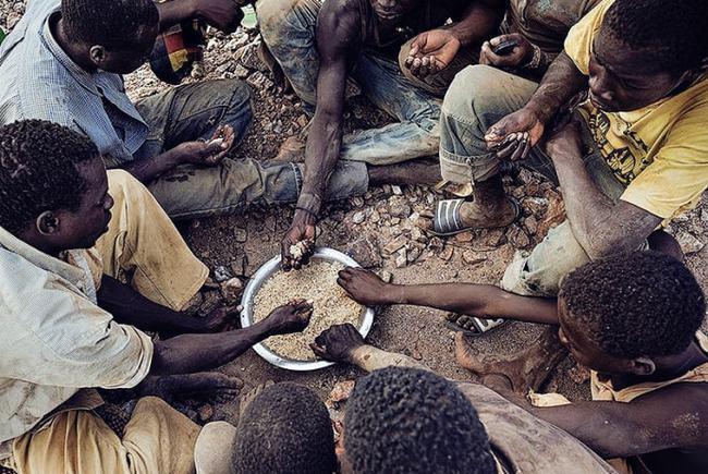 非洲粮食危机现状